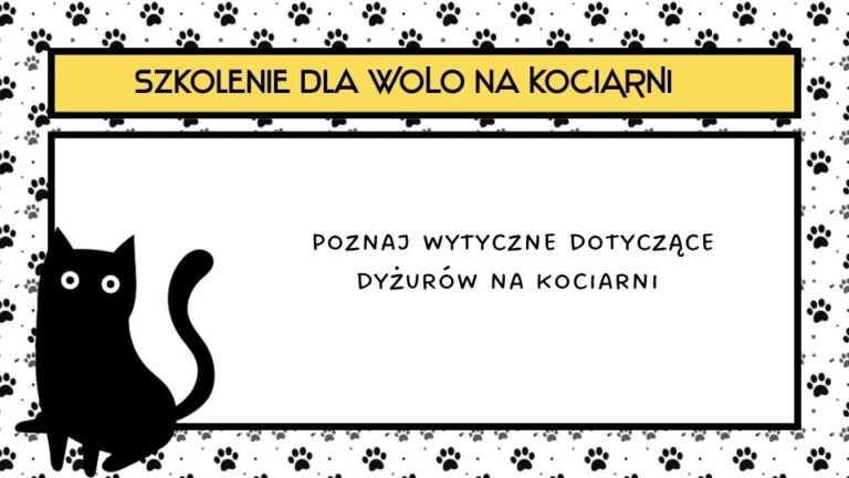 Szkolenie dla wolontariuszy dyżurujących na kociarni